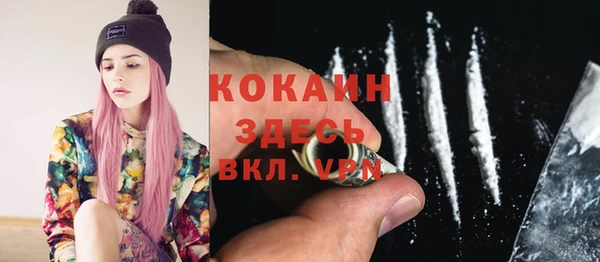 гидра Заводоуковск