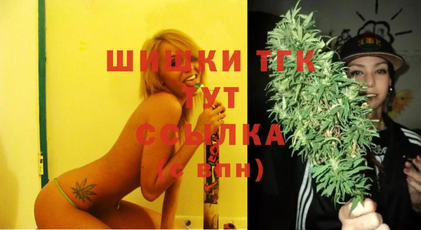 mix Белокуриха