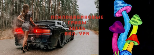 mix Белокуриха